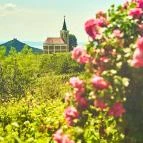 Szent György-hegy Hegymagas - Egyéb