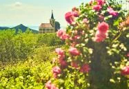 Szent György-hegy Hegymagas