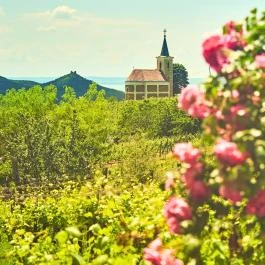 Szent György-hegy Hegymagas - Egyéb