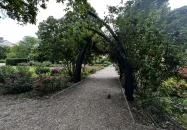 Szent István Park Budapest