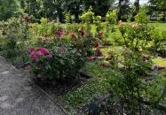 Szent István Park Budapest