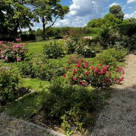 Szent István Park, Budapest - Egyéb