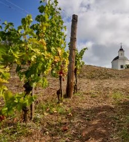 Szent Teréz-kápolna