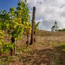 Szent Teréz-kápolna, Tarcal - Egyéb