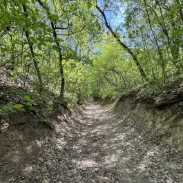 Szépvölgy, Budapest - Külső kép