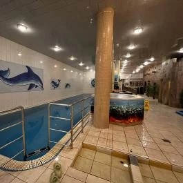 Wellness Hotel Szindbád , Balatonszemes - Wellness