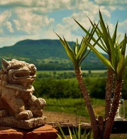 Taberna Infinito - Tapas&Grill Bàr