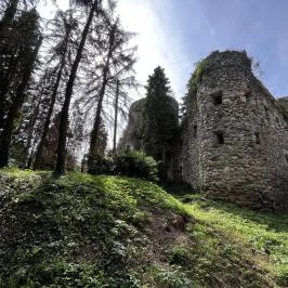 Taródi Vár, Sopron - Egyéb