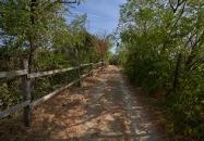 Templom-hegy Villány