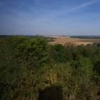 Templom-hegyi kilátó Villány - Egyéb