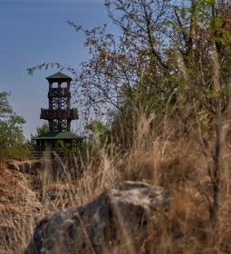 Templom-hegyi kilátó