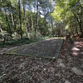 Tolvaj-árok Természetismereti Tanösvény, Sopron - Egyéb