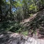 Tolvaj-árok Természetismereti Tanösvény Sopron - Egyéb