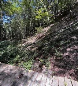 Tolvaj-árok Természetismereti Tanösvény