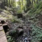 Tolvaj-árok Természetismereti Tanösvény Sopron - Egyéb