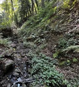 Tolvaj-árok Természetismereti Tanösvény