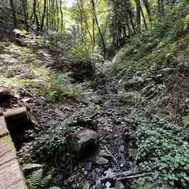 Tolvaj-árok Természetismereti Tanösvény, Sopron - Egyéb