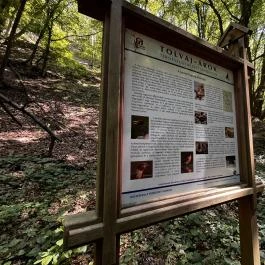 Tolvaj-árok Természetismereti Tanösvény, Sopron - Egyéb