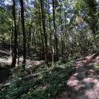 Tolvaj-árok Természetismereti Tanösvény Sopron - Egyéb