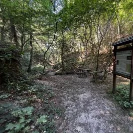 Tolvaj-árok Természetismereti Tanösvény, Sopron - Egyéb