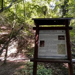 Tolvaj-árok Természetismereti Tanösvény, Sopron - Egyéb