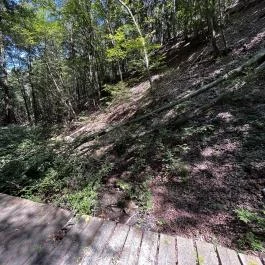 Tolvaj-árok Természetismereti Tanösvény, Sopron - Egyéb