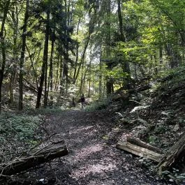 Tolvaj-árok Természetismereti Tanösvény, Sopron - Egyéb