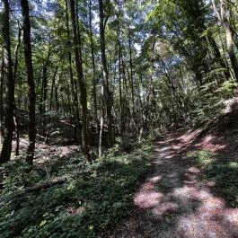 Tolvaj-árok Természetismereti Tanösvény, Sopron - Egyéb