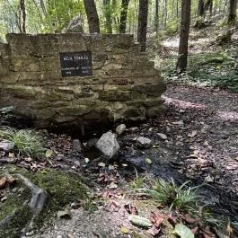 Tolvaj-árok Természetismereti Tanösvény, Sopron - Egyéb