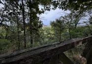 Vas-hegyi páholy Sopron