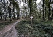 Vas-hegyi páholy Sopron