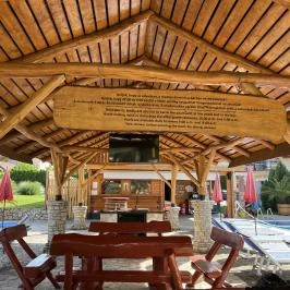 Villa Plattensee Vonyarcvashegy - Medence/kert