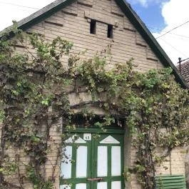 Villánykövesdi pincesor Villánykövesd - Egyéb