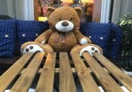 Wine Not? Hungarian Wine Shop & Bar Budapest