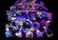 Zsolnay Fényfesztivál Pécs