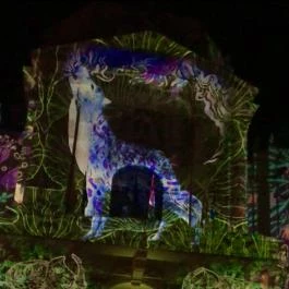 Zsolnay Fényfesztivál Pécs - Egyéb