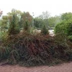 Aquarius Élmény- és Parkfürdő Nyíregyháza - 