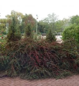 Aquarius Élmény- és Parkfürdő