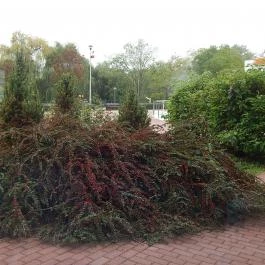 Aquarius Élmény- és Parkfürdő Nyíregyháza - Egyéb