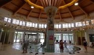 Aquarius Élmény- és Parkfürdő Nyíregyháza - 
