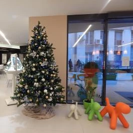 Art Hotel Szeged, Szeged - Belső