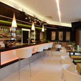 Art Hotel Szeged, Szeged - Vendéglátás