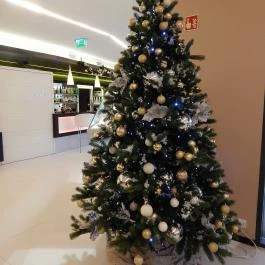 Art Hotel Szeged, Szeged - Belső