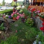 Balázs Kisvendéglő Tihany - Külső kép