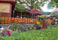 Balázs Kisvendéglő Tihany