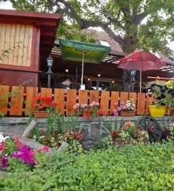 Balázs Kisvendéglő