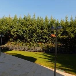 Balneo Hotel Zsori Thermal & Wellness Mezőkövesd - Medence/kert