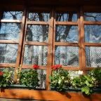 Báró Eötvös Loránd Turistaház Dobogókő - Egyéb