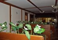 Bécsiszelet Vendéglő (Sashegy) Budapest