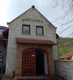 Borgaléria Pinceborozó